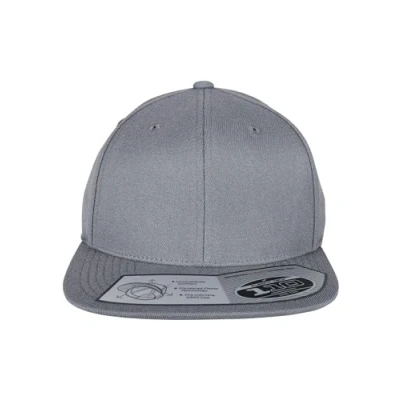 Image of Flexfit Fitted Snapback Cap, Unisex, 110, grey, One Size
