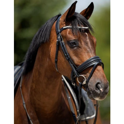 Image of HB Showtime Bridle Very soft