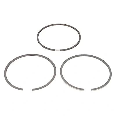 Image of Piston Ring Kit KOLBENSCHMIDT 800050610050