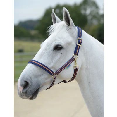 Image of Bucas Dublin Halter Navy/Orange