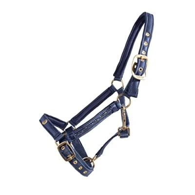 Image of QHP Foal Halter Lily