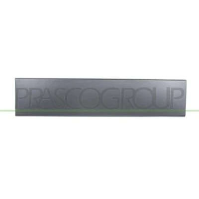 Image of Trim/Protection Strip, door PRASCO FT9301457