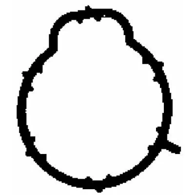 Image of Gasket, intake manifold AJUSA 13189800