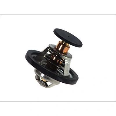 Image of Thermostat, coolant CALORSTAT by Vernet TH1519.82J