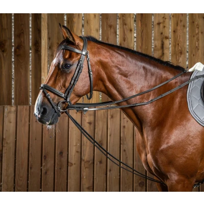Image of Dyon Full Leather Draw Reins 1/2 Working Collection