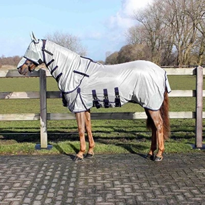 Image of QHP Fly rug with neck and hood