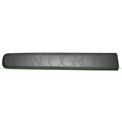 Image of Trim/Protection Strip, door PRASCO FT1241414