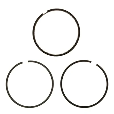 Image of Piston Ring Kit KOLBENSCHMIDT 800000610000