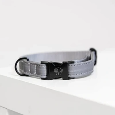 Image of Kentucky Horsewear Dog Collar Reflective XL Horse Riding Equestrian