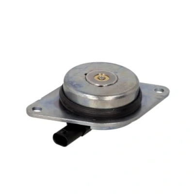 Image of Central Magnet, camshaft adjustment INA 427 0018 10
