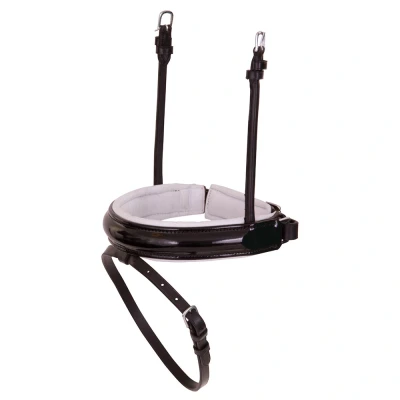 Image of BR combined noseband Lacquer round