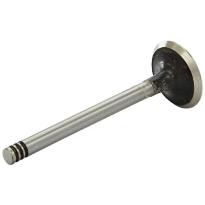 Image of Intake Valve AE V90179