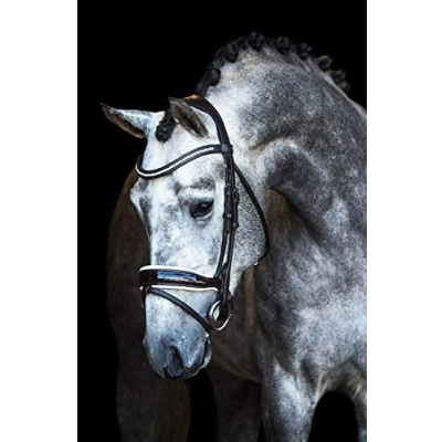 Image of Premiera &quot;Verona&quot; brown anatomical bridle with white padded noseband