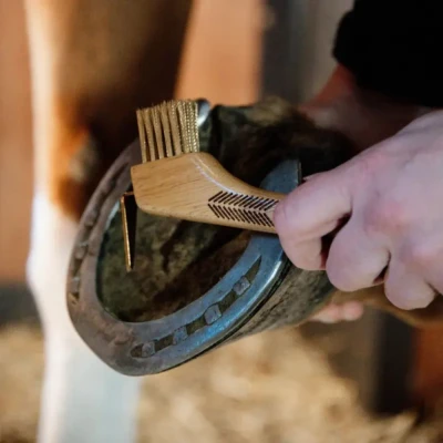Image of Grooming Deluxe Hoof Pick With Metal Bristles