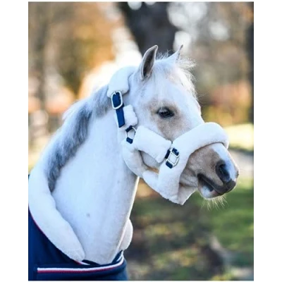 Image of HB Showtime Harry and Hector Fluffy Halter Little sizes