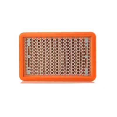 Image of Air FILTER MANN C 2666