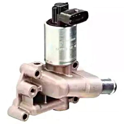 Image of EGR Valve DELPHI EG10289 12B1