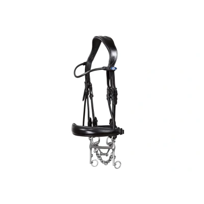 Image of PS of Sweden Passage anatomical double bridle