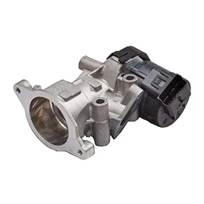 Image of EGR Valve DELPHI EG10410 12B1