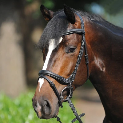 Image of Kavalkade Bridle Ivy