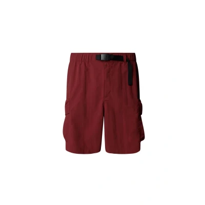 Image of The North Face Shorts, Men&#039;s, Size: XL, Sumac