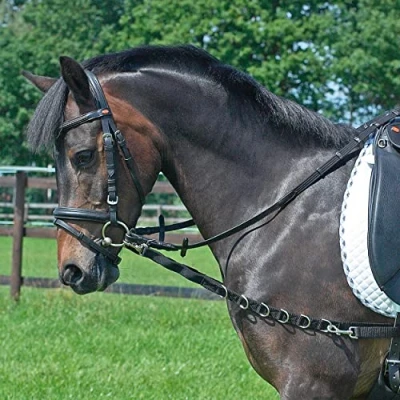 Image of Busse side rein Oesen Elastic