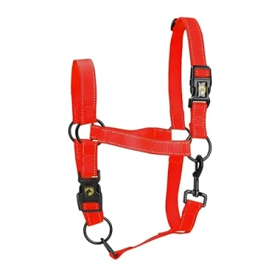 Image of Excellent Horse Premium Halter M Pony Rood