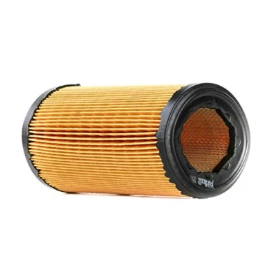 Image of Air Filter PURFLUX A266