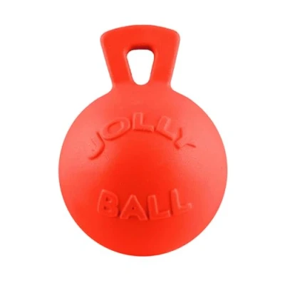 Image of Jolly Ball 25cm with a tasty smell!
