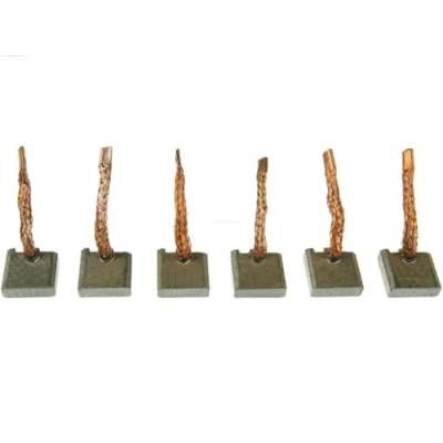 Image of Carbon Brush, starter AS PL SB0012S