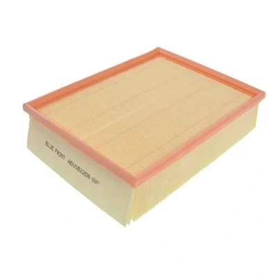 Image of Air Filter BLUE PRINT ADV182208