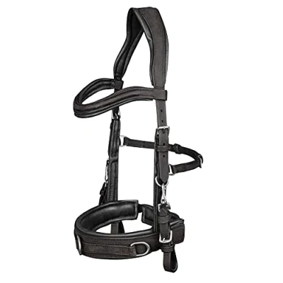 Image of WALDHAUSEN Anatomic Leather Cavesson Black WB