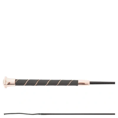 Image of BR dressage whip Orion