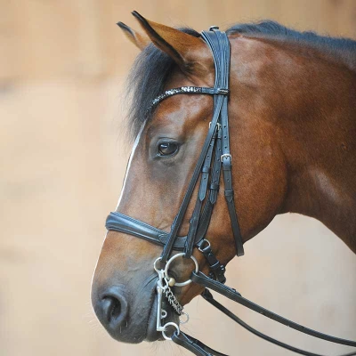 Image of Kavalkade Ivonne Combi Bridle Snaffle and Double