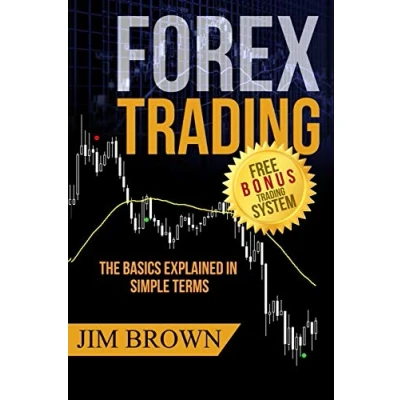 Image of FOREX TRADING: The Basics Explained in Simple Terms (1)