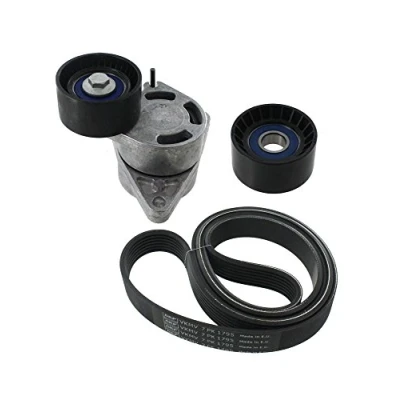 Image of V Ribbed Belt Set SKF VKMA 36073