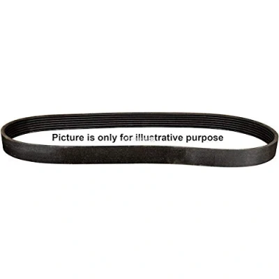 Image of V Ribbed Belt JP GROUP 1218101900