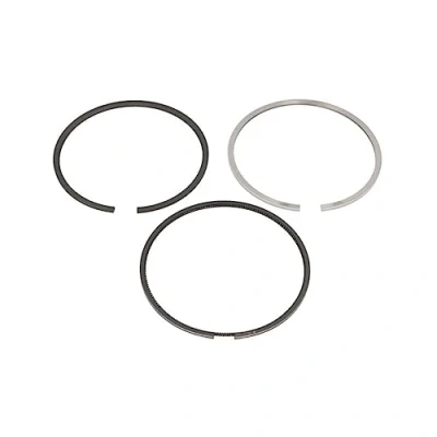 Image of Piston Ring Kit KOLBENSCHMIDT 800076010000