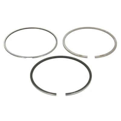 Image of Piston Ring Kit KOLBENSCHMIDT 800117810000