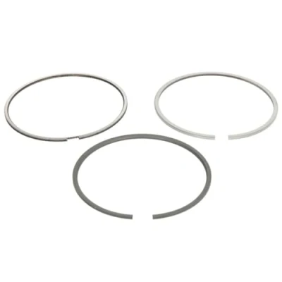 Image of Piston Ring Kit KOLBENSCHMIDT 800116010000