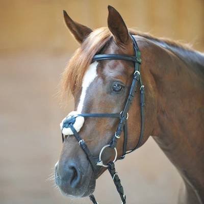 Image of Kavalkade Bridle Carlos mexican noseband