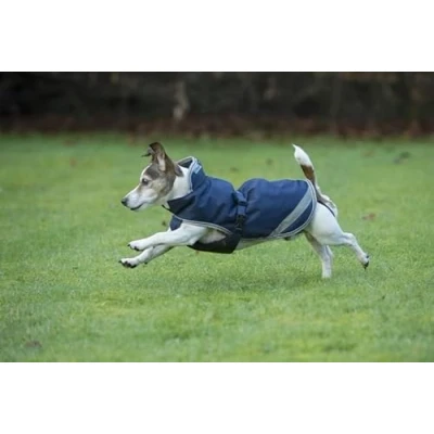 Image of Bucas Freedom Dog Blanket