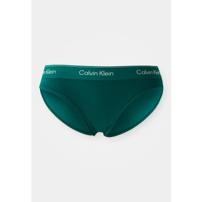 Image of Calvin Klein Underwear ICON Briefs, Women&#039;s, Size: XS, Turf