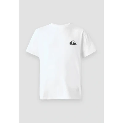 Image of Quiksilver Men&#039;s Ev Mini Logo Ss T Shirt (Pack of 1)