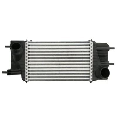 Image of Charge Air Cooler THERMOTEC DA1013TT