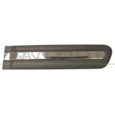Image of Trim/Protection Strip, door PRASCO FT0401463