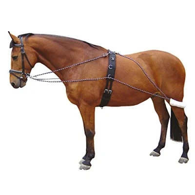 Image of Harry&#039;s Horse Lunging support system