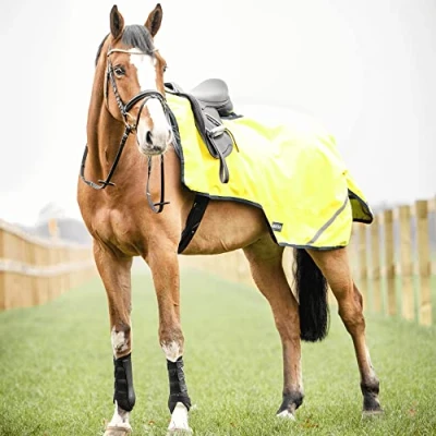 Image of Busse Exercise Blanket Shine 100