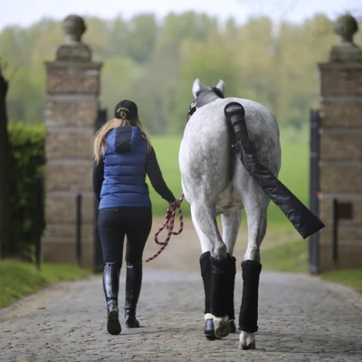 Image of Kentucky Horsewear Stable Bandage Pads Black