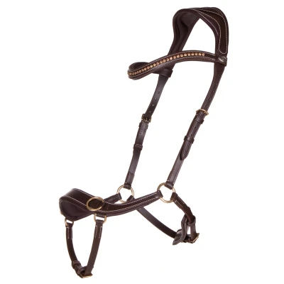 Image of QHP Bitless Bridle Anatomical